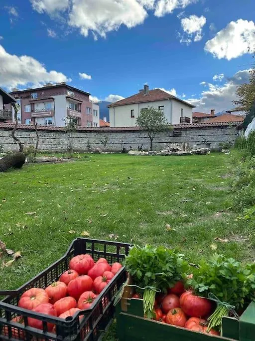Villa Fest Bansko Bulharsko